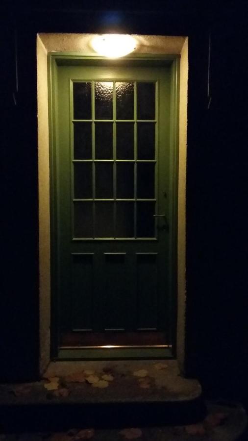 Studio Apartment - Green Door 萨格勒布 外观 照片